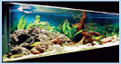 DYNAVIVE VORTEX - Traitement des eaux en Animalerie, Aquarium (anti-tartre, anti-bactéries)