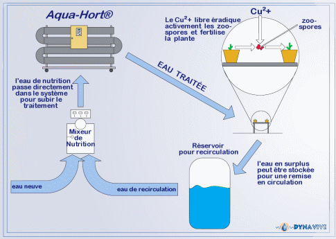 Diagramme fonctionnel du système Aqua-Hort®
