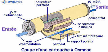 DYNAVIVE OSMOSE - Coupe d'une menbrane à osmose